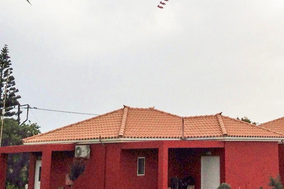 Photo of Others in Pineios