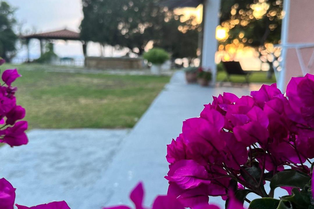Photo of Others in Pyrgos