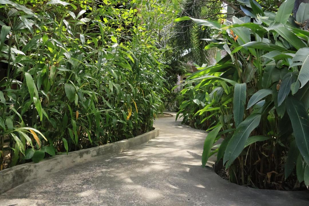 Photo of Others in Krong Kaeb