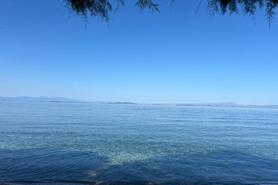 Photo of Others in Skala Neon Kidonion