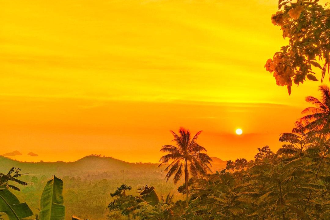 Photo of Others in Koh Samui