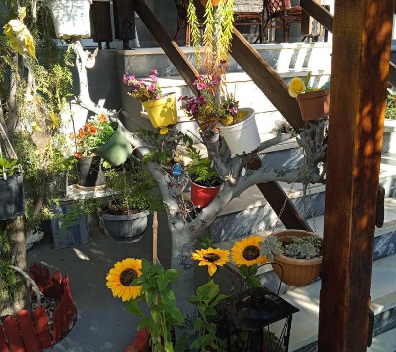 Photo of Patio Balcony in Gerakini