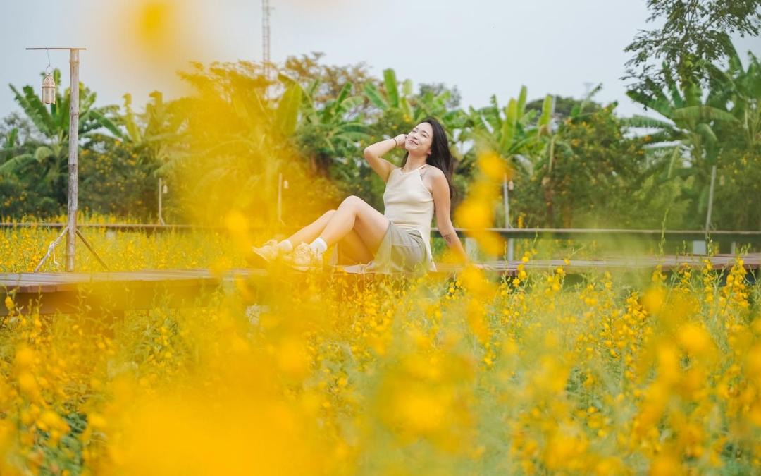 Photo of Others in Ayutthaya