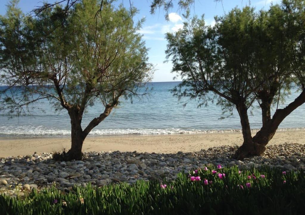 Photo of Others in Makry Gialos