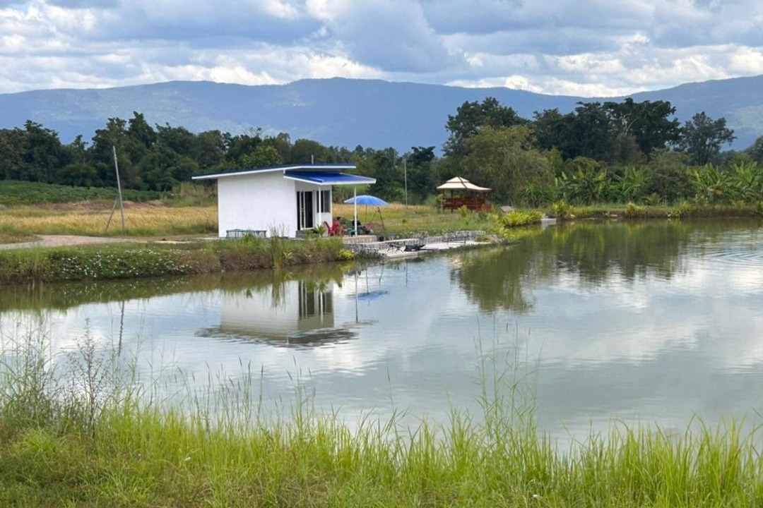 Photo of Others in Nong Bua Daeng