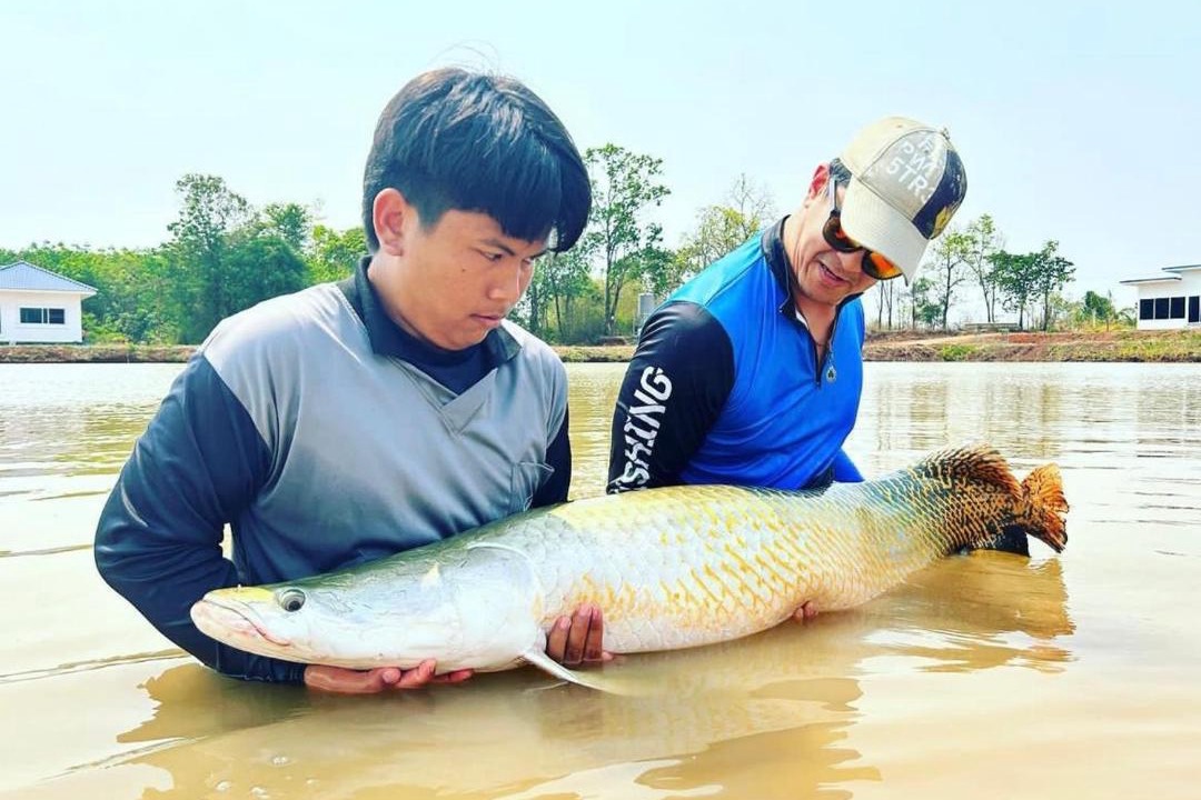 Photo of Others in Nong Bua Daeng