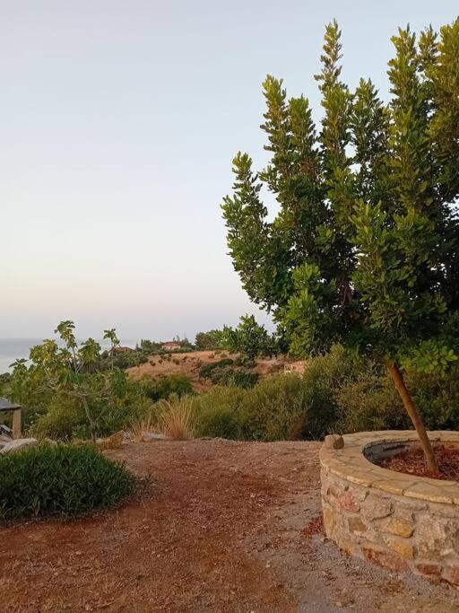 Photo of Others in Pylos-Nestoras