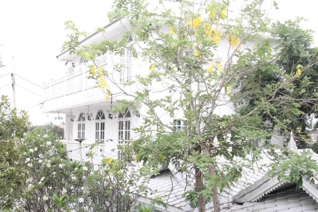 Photo of Others in Nakhon Chai Si