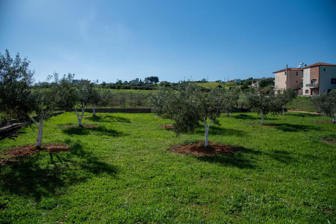Photo of Others in Alexandroupoli