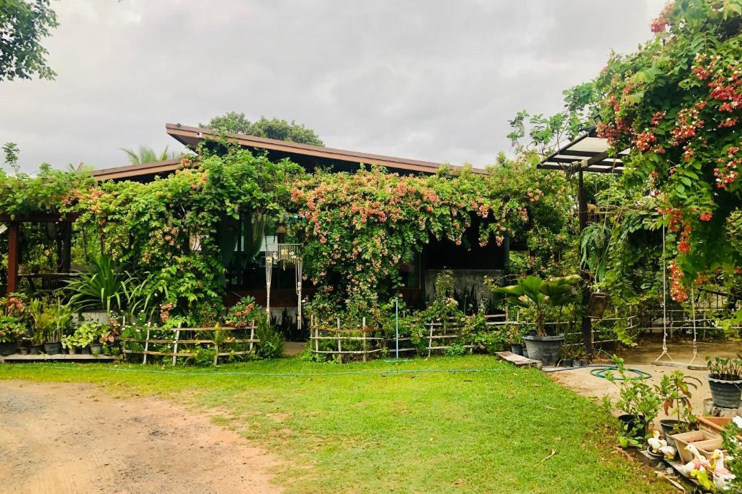 Photo of Others in Prasat