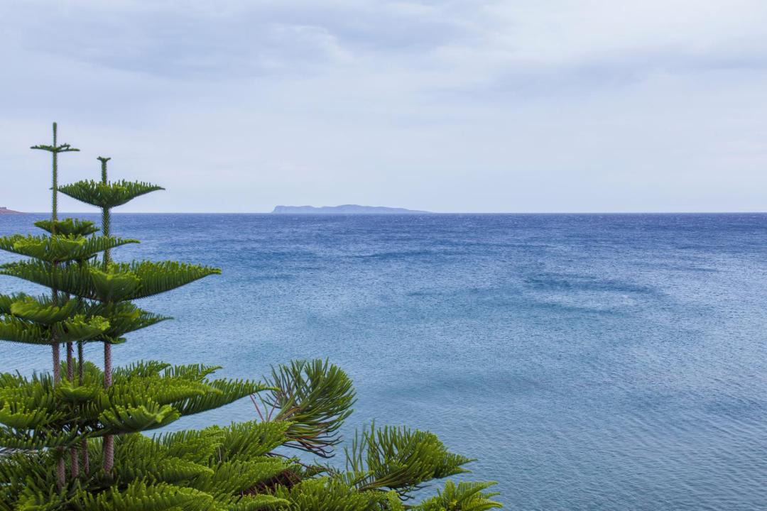 Photo of Others in Sitia