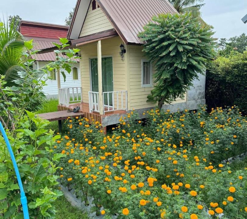 Photo of Others in Prasat