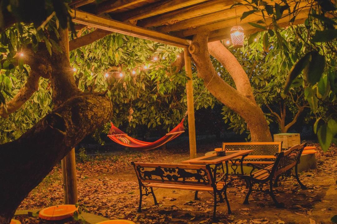 Photo of Others in Pineios