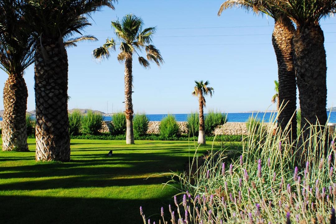 Photo of Others in Naousa