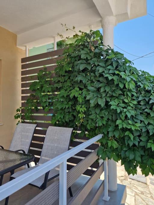 Photo of Patio Balcony in Agia Triada
