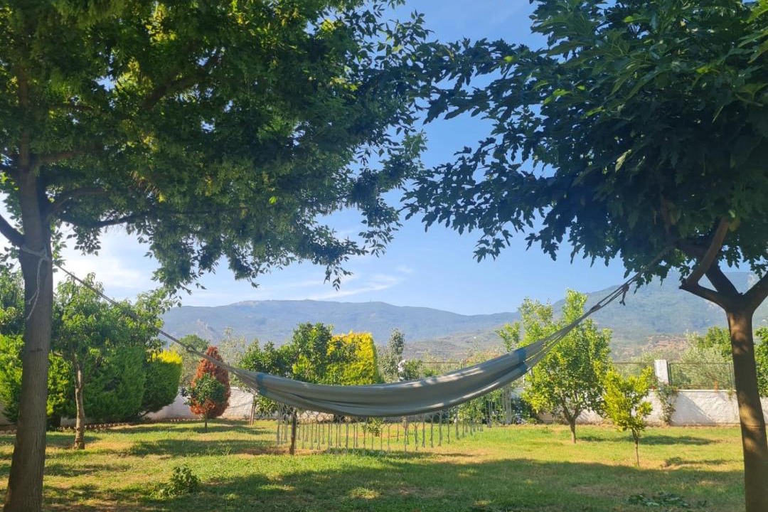 Photo of Outdoor in Ano Lechonia