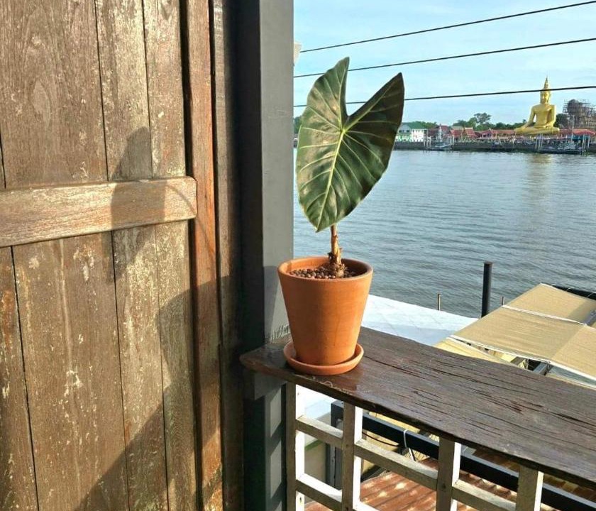 Photo of Patio Balcony in Pak Kret