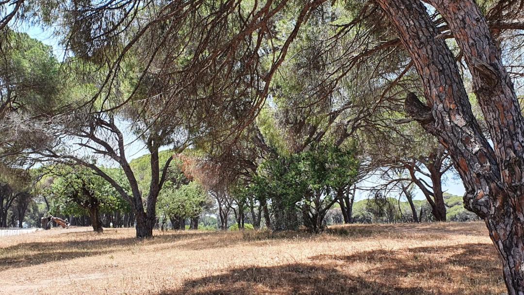 Photo of Others in Larissos