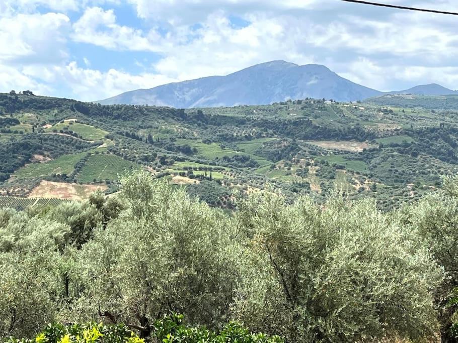 Photo of Others in Aigialeia