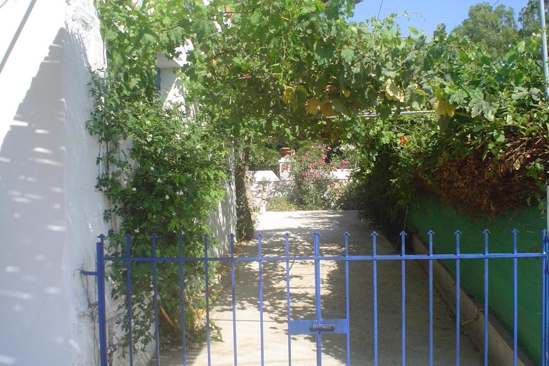 Photo of Others in Posidonia