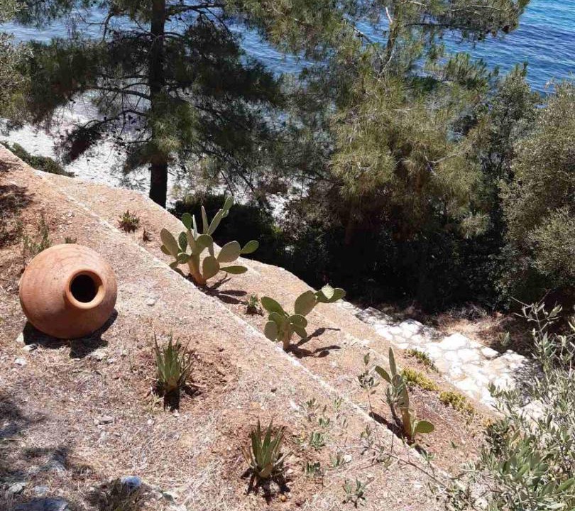 Photo of Others in Plomari