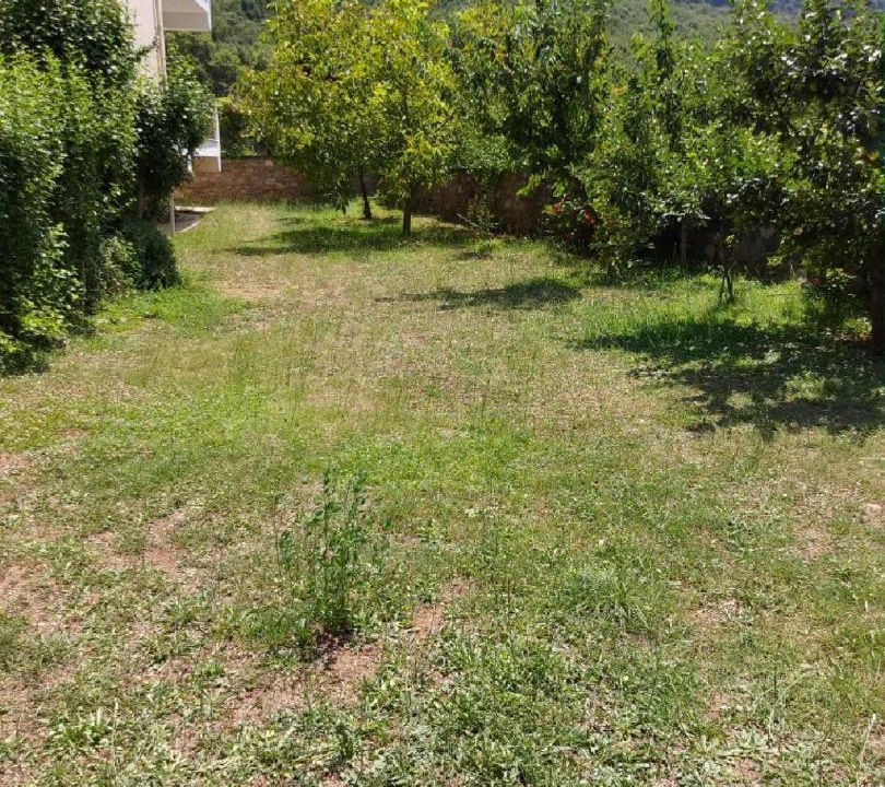 Photo of Others in Kleidonia