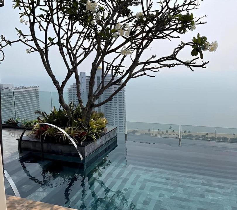 Photo of Others in Pattaya Bay