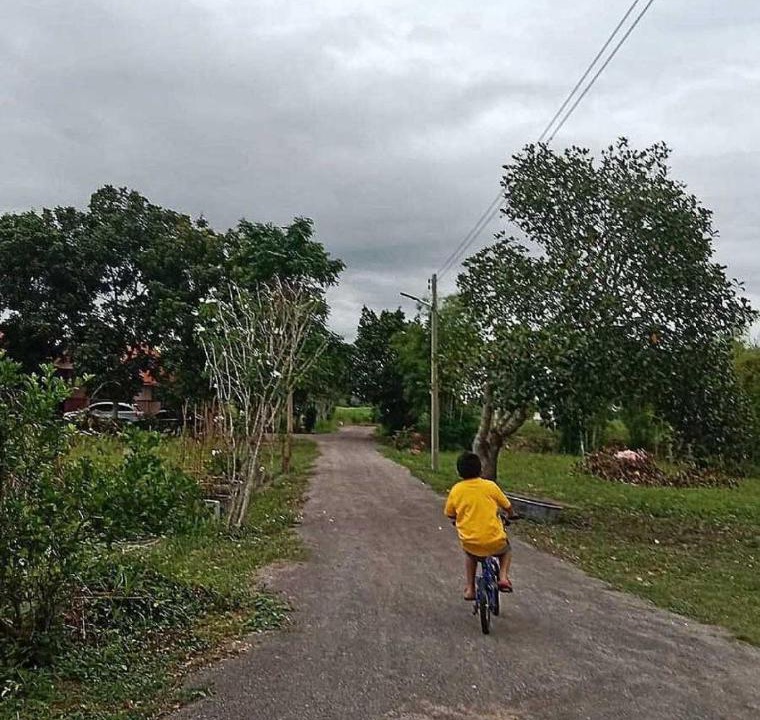 Photo of Others in Suan Phueng