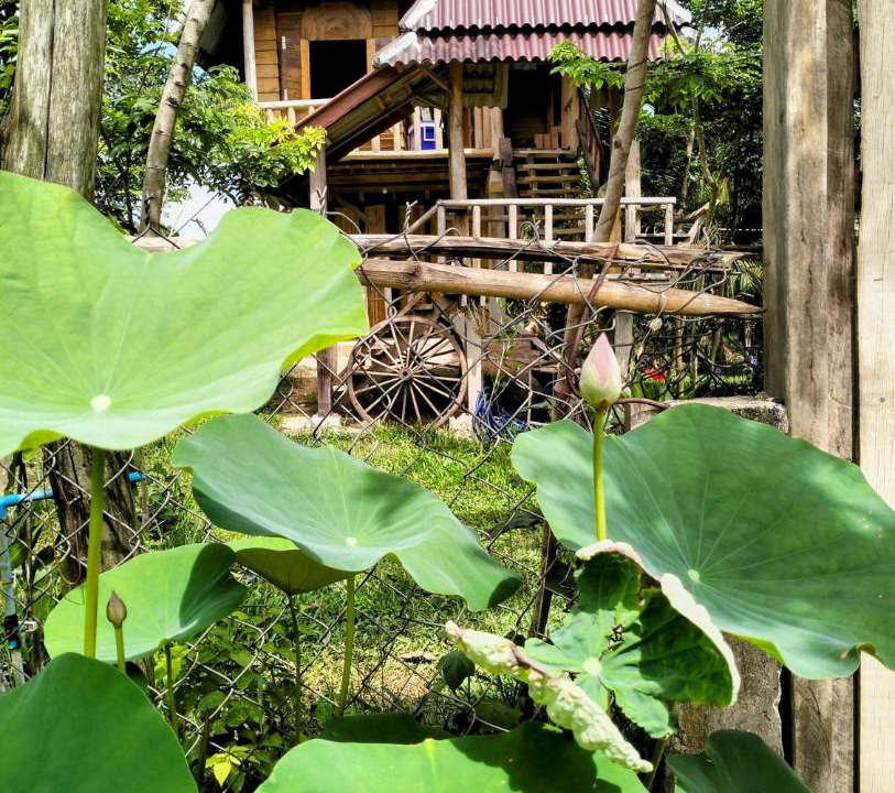 Photo of Others in Kampot