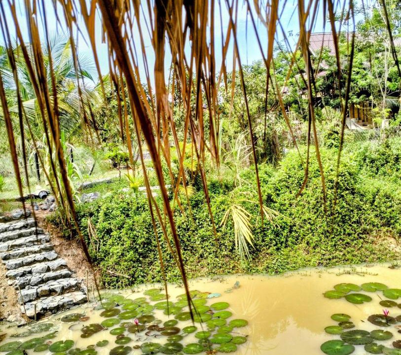 Photo of Others in Kampot