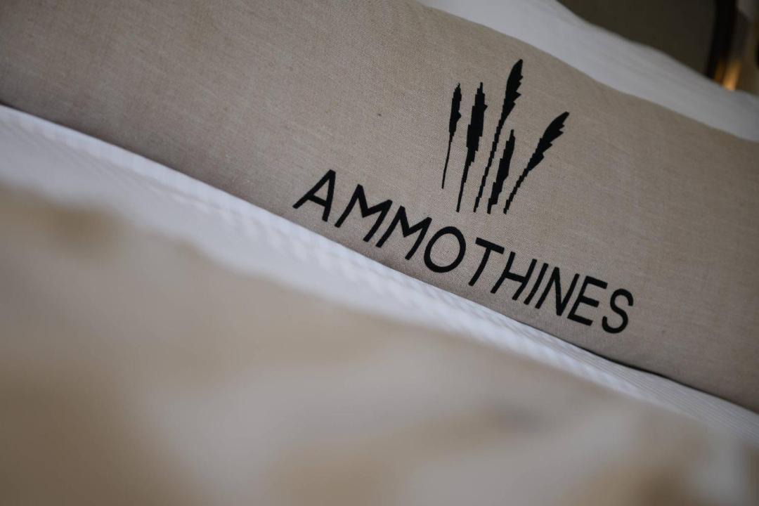 Photo of Others in Golden Beach