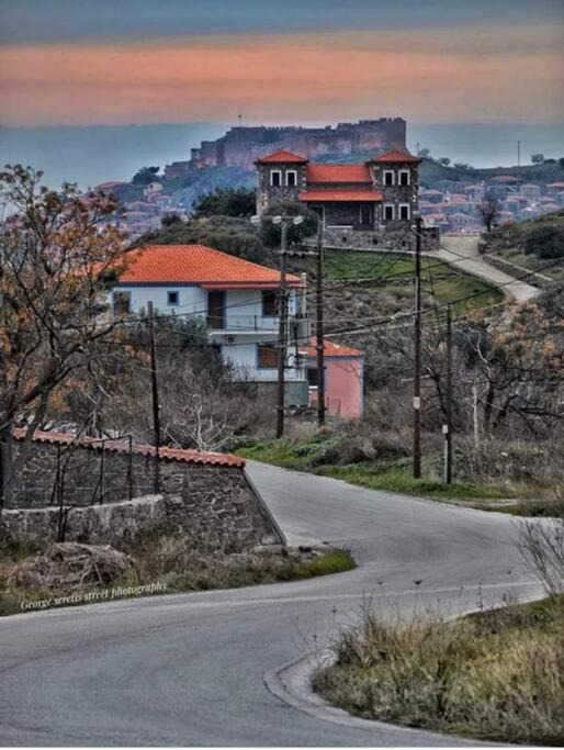 Photo of Buildings in Mithimna