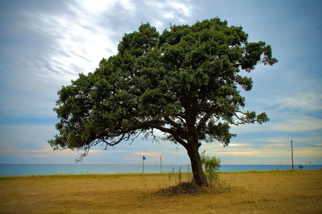 Photo of Outdoor in Alexandroupoli