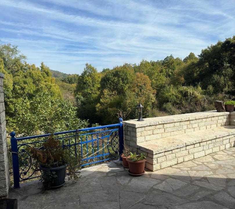 Photo of Others in Monodendri