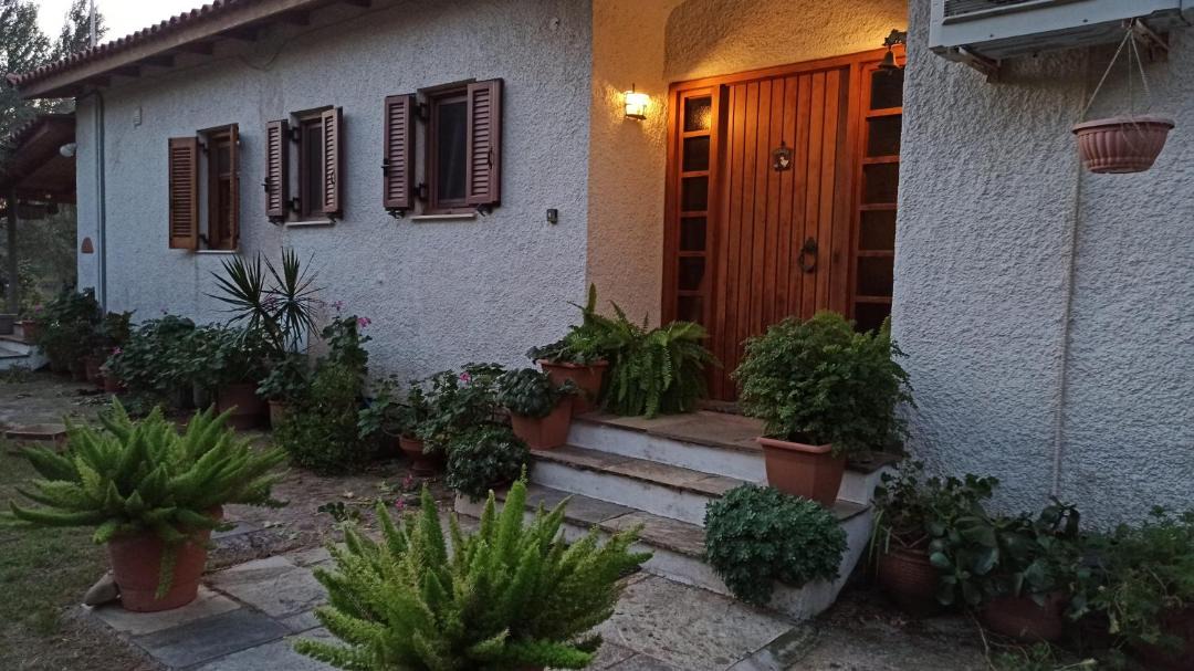 Photo of Buildings in Gefira Mpania