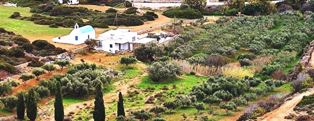 Photo of Others in Antiparos