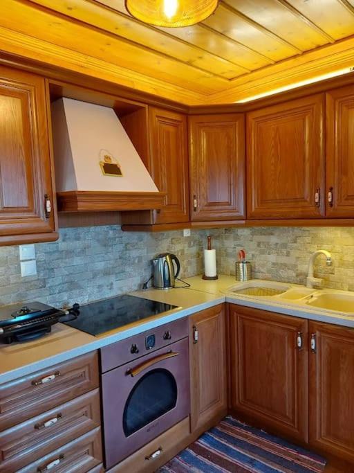Photo of Kitchen in Vitsa