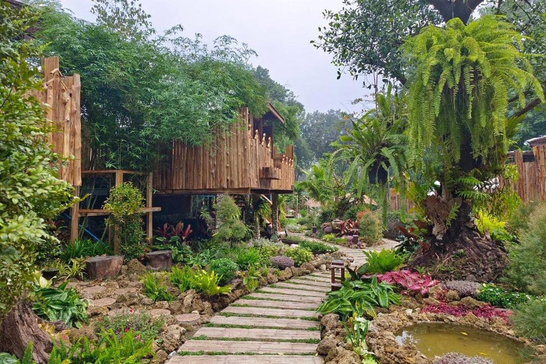 Photo of Others in Chiang Dao