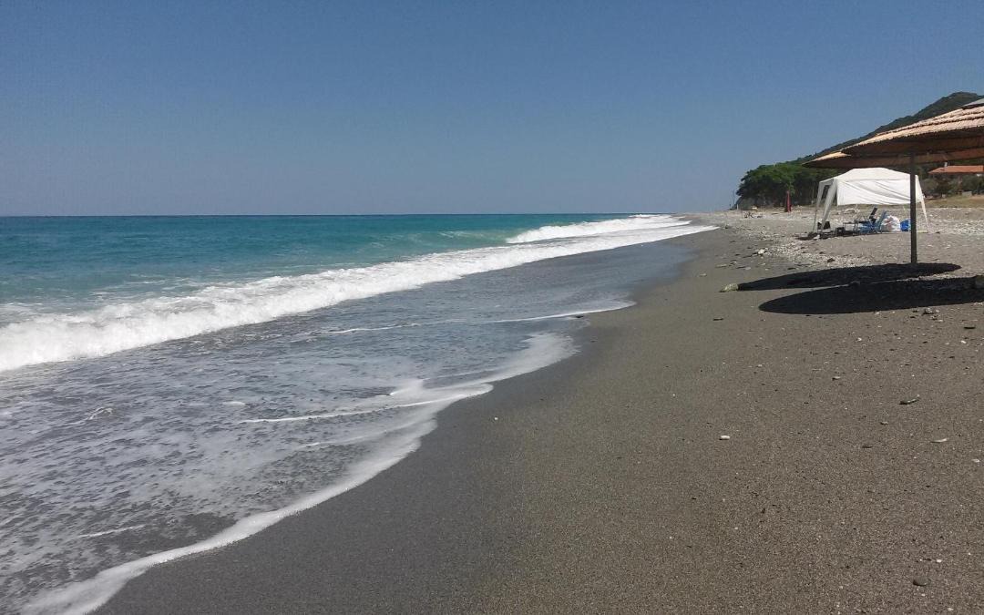 Photo of Others in Agia