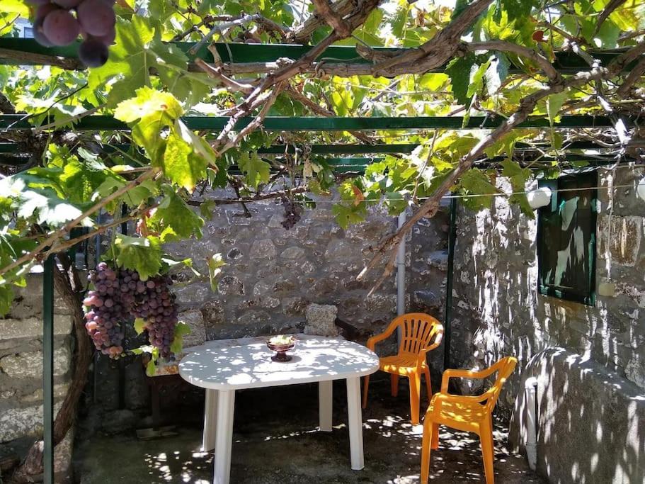 Photo of Others in Eresos