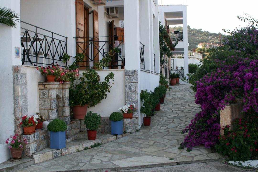 Photo of Others in Skopelos Town