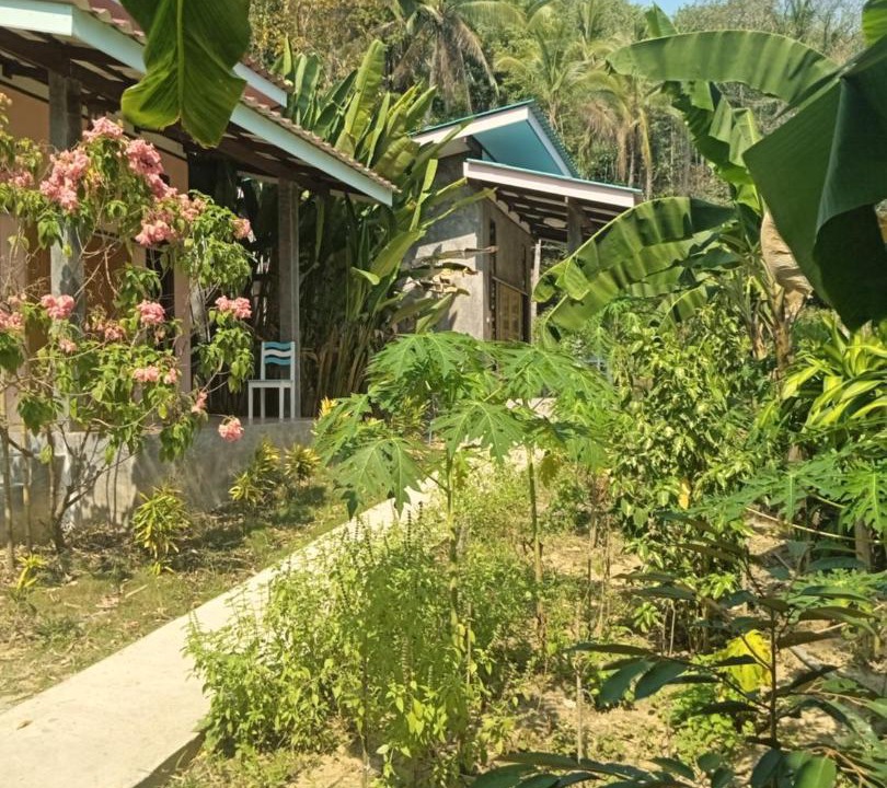 Photo of Others in Ko Kood