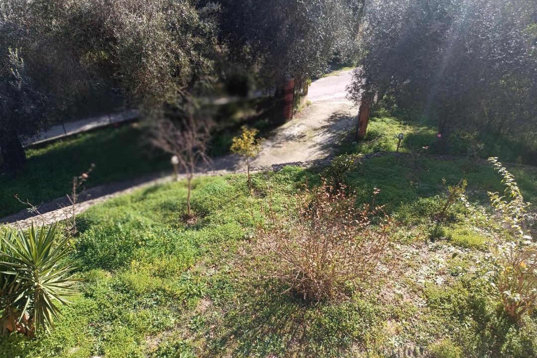 Photo of Others in Corfu