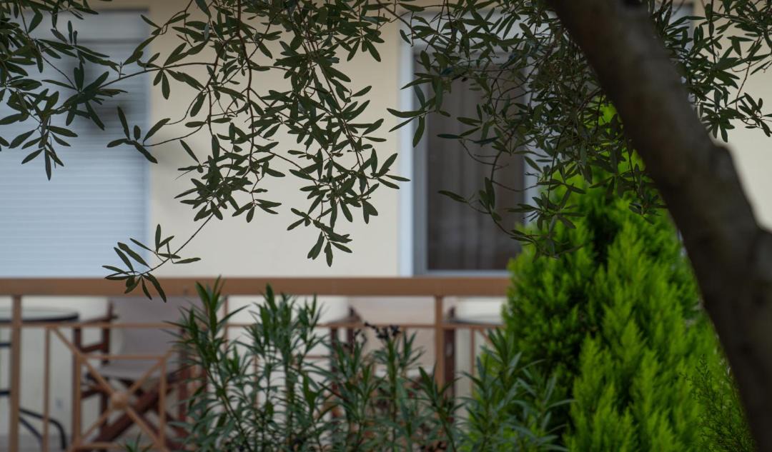 Photo of Others in Loutraki