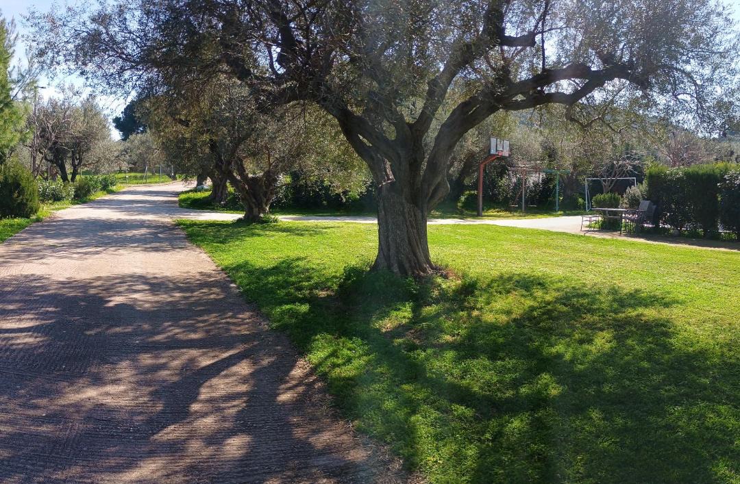 Photo of Outdoor in Drepano