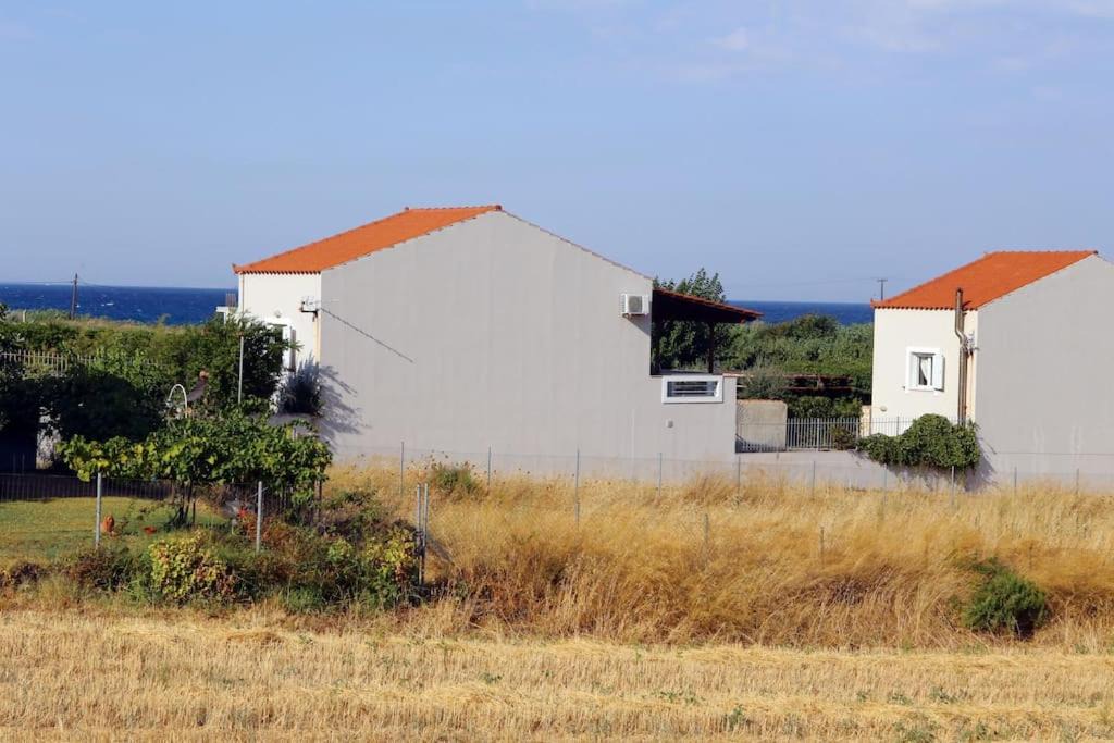 Photo of Others in Mourteri