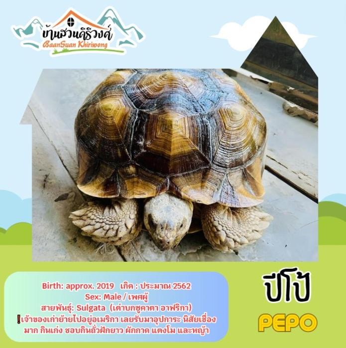 Photo of Others in Khao Yoi