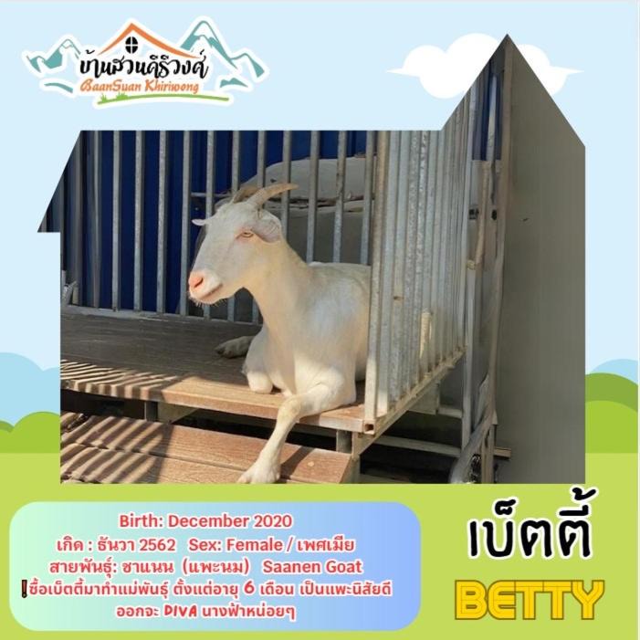 Photo of Others in Khao Yoi