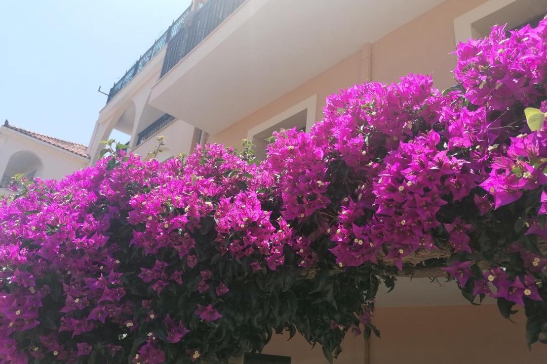 Photo of Others in Poros