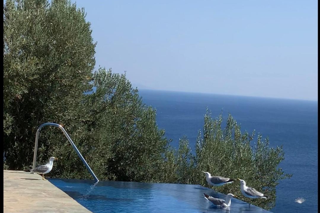 Photo of Outdoor in Melinta